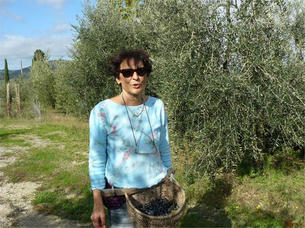 Attività in agriturismo: raccolta delle olive